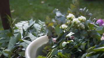 Fachmann Florist beim arbeiten. jung schön Frau macht modisch modern Strauß von Grün anders Farben. Blumen- Hochzeit Bogen Design. Arbeit Konzept. Dekorateur Arbeiten draußen im Herbst. video