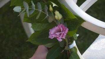 kvinna dekoratör dekorerar vit stolar för ett utomhus- bröllop ceremoni i bakgård. bröllop byrå anställd dekorerar gata möbel för bröllop fest utanför. bröllop möbel utsmyckning. video