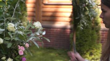 Fachmann Florist beim arbeiten. jung schön Frau macht modisch modern Strauß von Grün anders Farben. Blumen- Hochzeit Bogen Design. Arbeit Konzept. Dekorateur Arbeiten draußen im Herbst. video