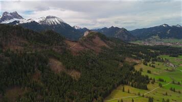 Aerial view Burgruine Falkenstein is ruined medieval castle in Pfronten in Ostallgau in Sudwest Bayern, Germany near Fussen. Drone view of ruins of tallest castle in Germany Falkenstein. King Ludwig. video