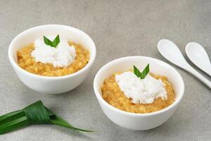 Bubur Merah Putih. Made from rice, brown sugar, coconut milk, pandan leaves. Indonesian food. photo