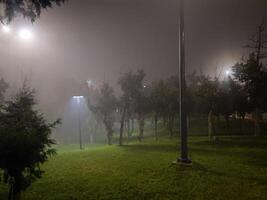 Al Bahah, Saudi Arabia, 12 April 2024 - Beautiful nighttime view of Raghadan Forest Park in Al Bahah region of Saudi Arabia. The green trees and grasses in the park provide a beautiful view. photo