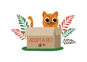 Red cat in a box on the street. Inscription Adopt a pet. Cute cartoon homeless kitten. Accepts pets and raises them. Pet adoption concept. Text, inscription. vector