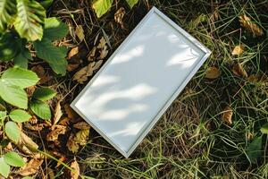 A plain white frame mockup, laying on grass in sunny day. photo