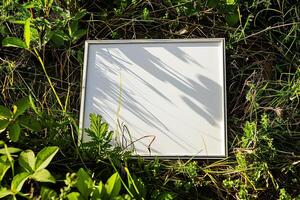 A plain white frame mockup, laying on grass in sunny day. photo