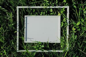 A plain white frame mockup, laying on grass in sunny day. photo