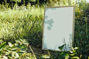 A plain white frame mockup, laying on grass in sunny day. photo