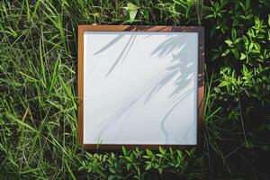 A plain white frame mockup, laying on grass in sunny day. photo