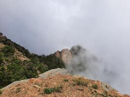 Breathtaking natural beauty of Abha in Saudi Arabia in the summer season. High mountains, greenery, low clouds and fog are the beauty of Abha. photo