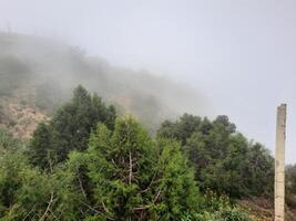 asombroso natural belleza de abha en saudi arabia en el verano estación. alto montañas, verdor, bajo nubes y niebla son el belleza de abha. foto