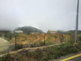 asombroso natural belleza de abha en saudi arabia en el verano estación. alto montañas, verdor, bajo nubes y niebla son el belleza de abha. foto