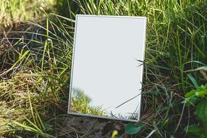 A plain white frame mockup, laying on grass in sunny day. photo