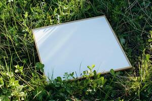 A plain white frame mockup, laying on grass in sunny day. photo
