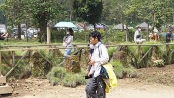 Bandung, West Java, Indonesia, May 7, 2022, Tourists enjoy the atmosphere of a tea garden tour with several deer photo