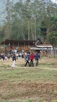 Bandung, West Java, Indonesia, May 7, 2022, Tourists enjoy the atmosphere of a tea garden tour with several deer photo