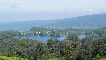 image of green tea plantation with lake, mountain view and clear sky photo