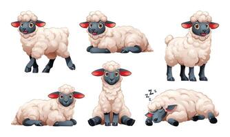 Set of sheep in different poses. Cartoon illustration vector