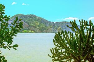 Beautiful views on the island in Phuket photo