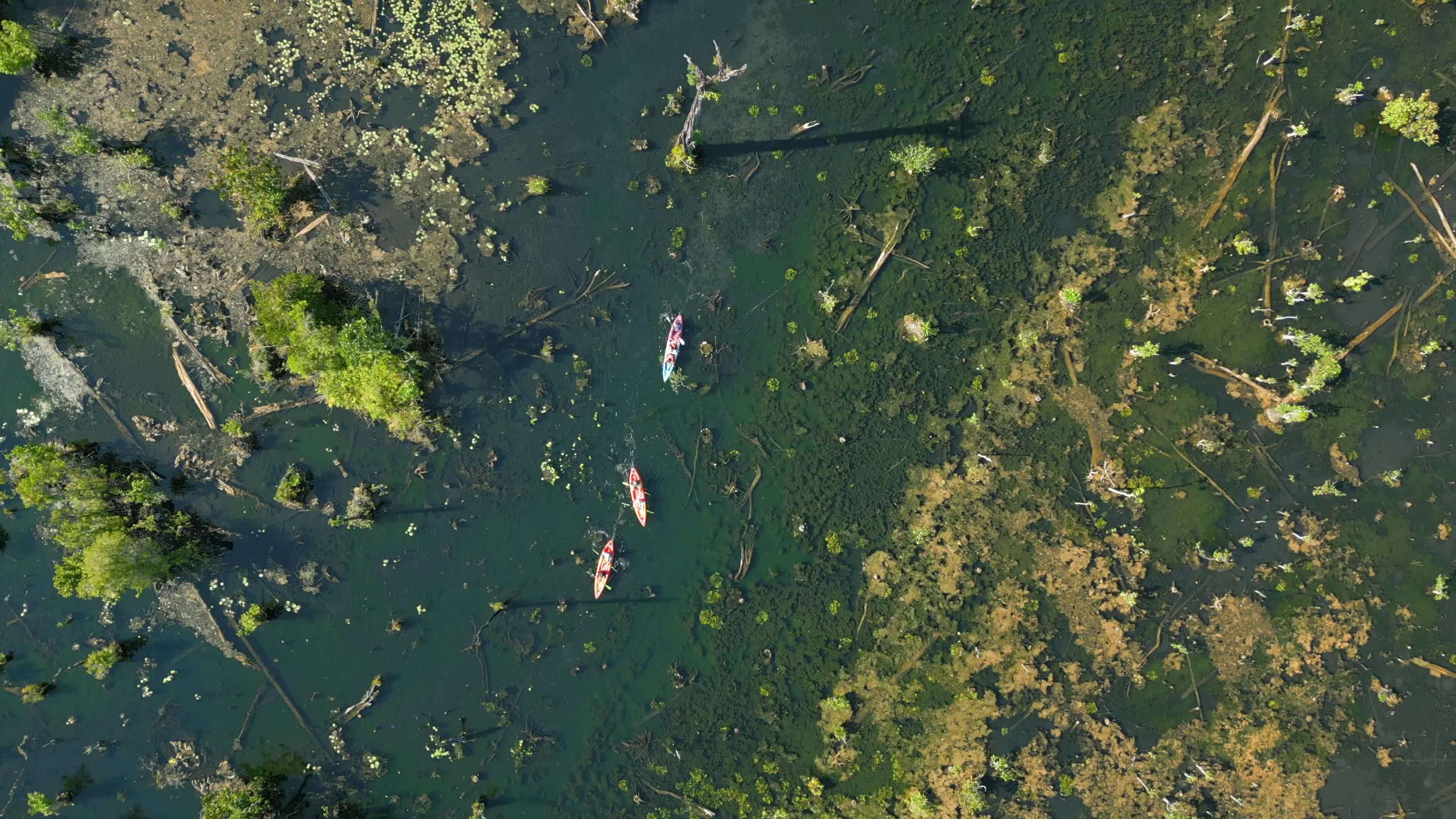 Top view of tourists kayaking on Mirror Lake in Krabi, Thailand