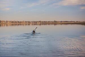 kayak race training on a lake photo