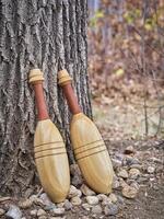 pair of wooden Indian exercise clubs photo