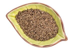 caraway seeds in a bowl photo