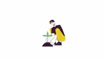 Asian man planting seedling line 2D character animation. Gardening hobby flat color cartoon 4K , alpha channel. Korean male taking care of plant animated person on white background video