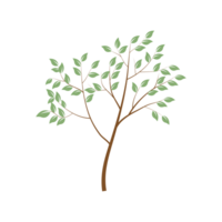 Tree with green foliage. Landscape design, nature, forest of garden symbol. png