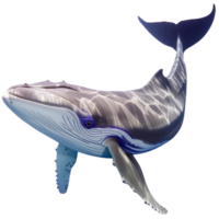 een walvis, illustratie png