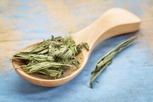 dry stevia leaf on a wooden sppon photo