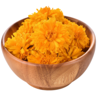 Marigold flower, illustration png