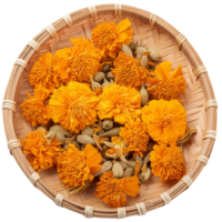 Marigold flower, illustration png