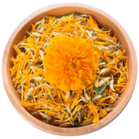 Marigold flower, illustration png