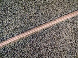 road and sagebrush aerial view photo