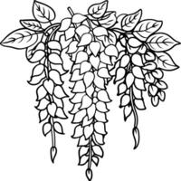 Wisteria Flower outline illustration coloring book page design, Wisteria Flower black and white line art drawing coloring book pages for children and adults vector