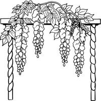 Wisteria Flower outline illustration coloring book page design, Wisteria Flower black and white line art drawing coloring book pages for children and adults vector