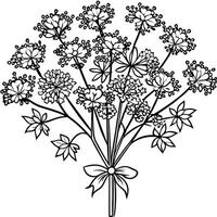 Queen Anne Lace flower outline illustration coloring book page design, Queen Anne Lace flower black and white line art drawing coloring book pages for children and adults vector