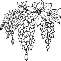 Wisteria Flower outline illustration coloring book page design, Wisteria Flower black and white line art drawing coloring book pages for children and adults vector