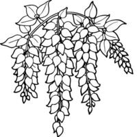 Wisteria Flower outline illustration coloring book page design, Wisteria Flower black and white line art drawing coloring book pages for children and adults vector