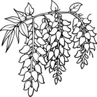 glicina flor contorno ilustración colorante libro página diseño, glicina flor negro y blanco línea Arte dibujo colorante libro paginas para niños y adultos vector