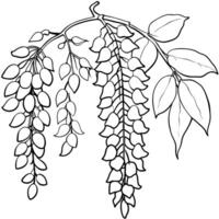 Wisteria Flower outline illustration coloring book page design, Wisteria Flower black and white line art drawing coloring book pages for children and adults vector