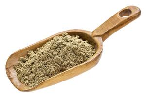 hemp seed protein powder photo