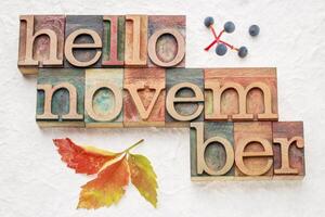 Hello November word abstrtact in wood type photo