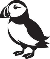 Atlantic Puffin silhouette illustration on white background. vector