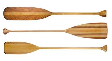 wooden canoe paddles isolated photo