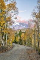 back country road in Colorado photo