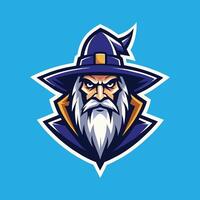 Wizard Mascot Logo Design Wizard illustration vector