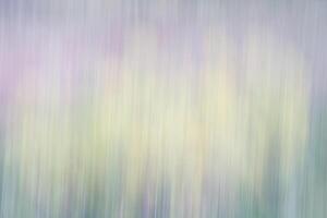 nature motion blur abstract photo