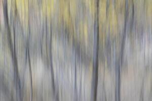 nature motion blur abstract photo