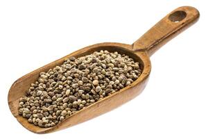 rustic scoop of hemps seeds photo